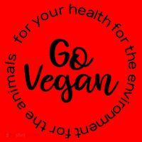 Go Vegan For Life Santa Hat thumb 1