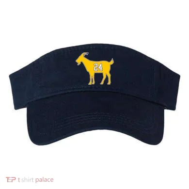 Visor