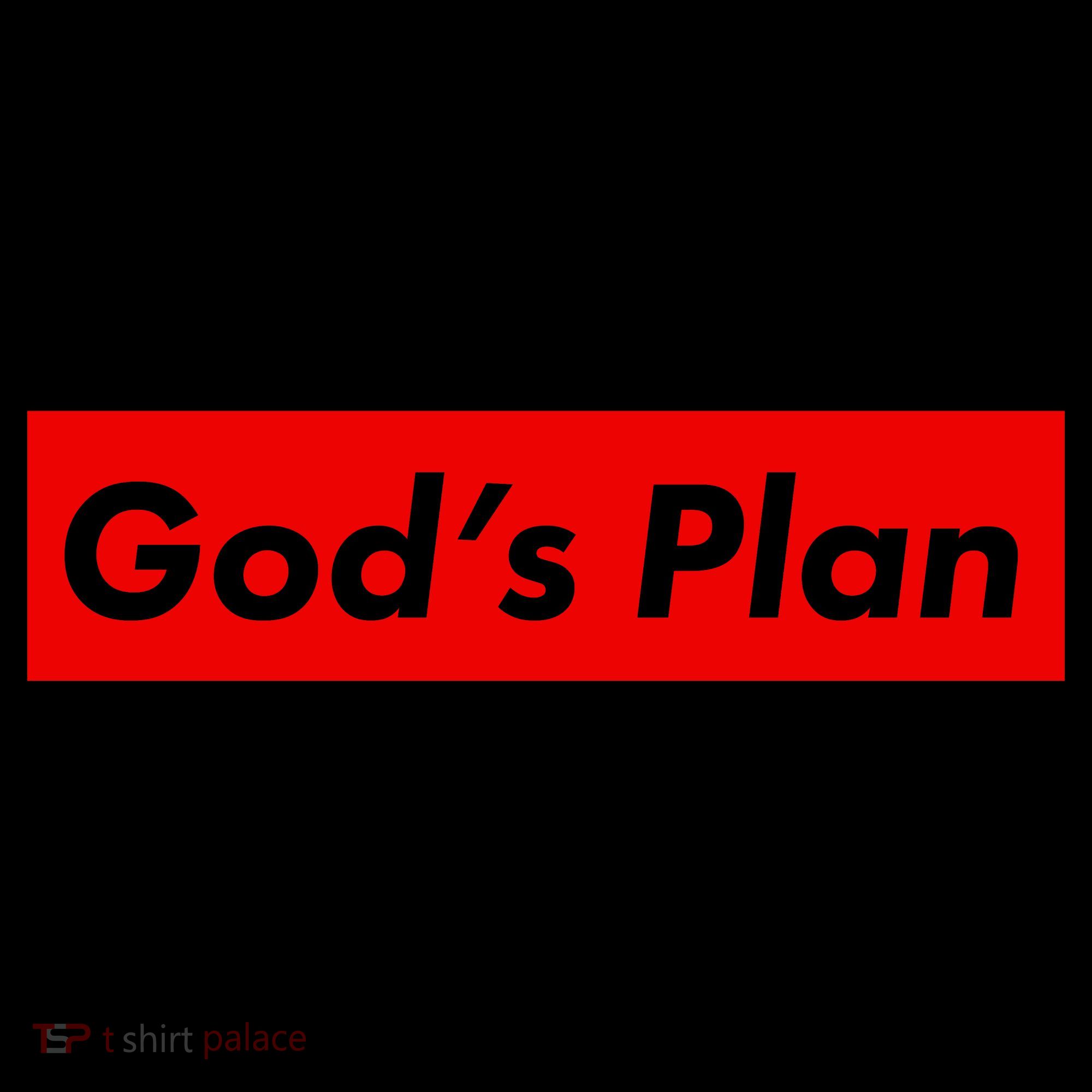 God's Plan Toddler Hoodie