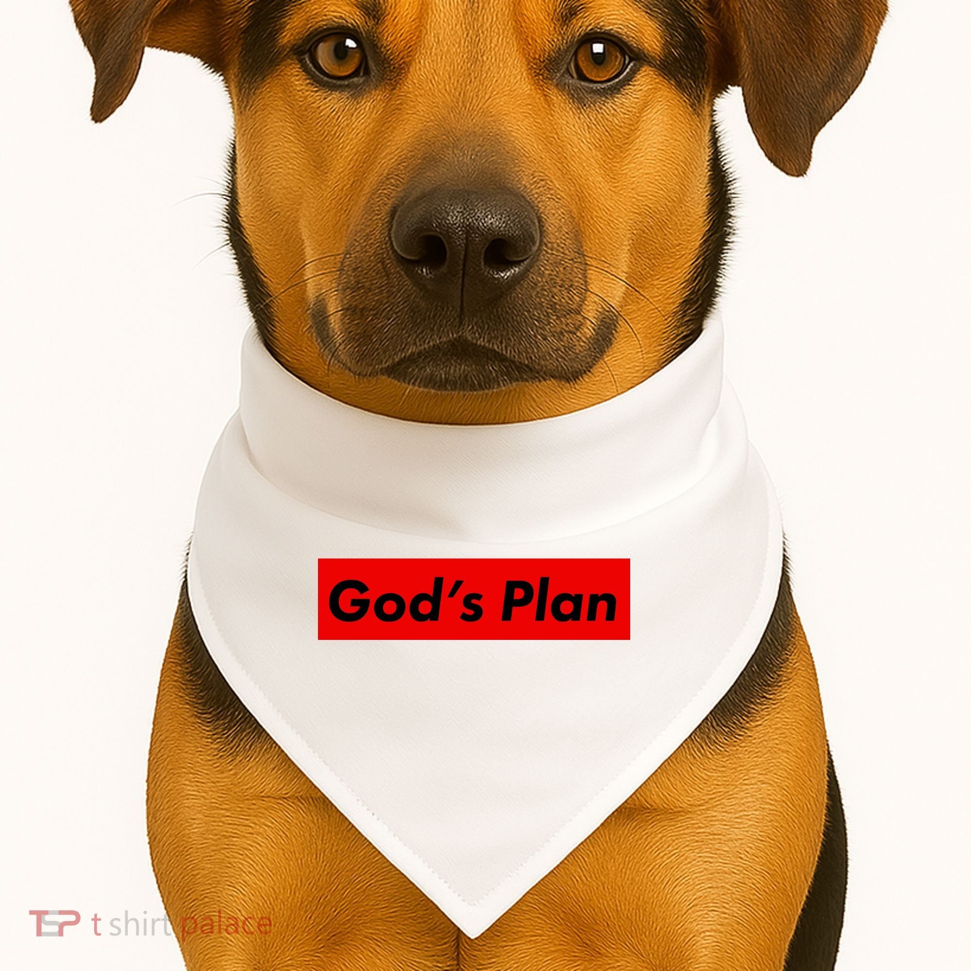 God's Plan USA-Made Doggie Bandana