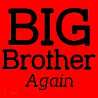 Going to be a Big Brother. Again! Santa Hat thumb 1