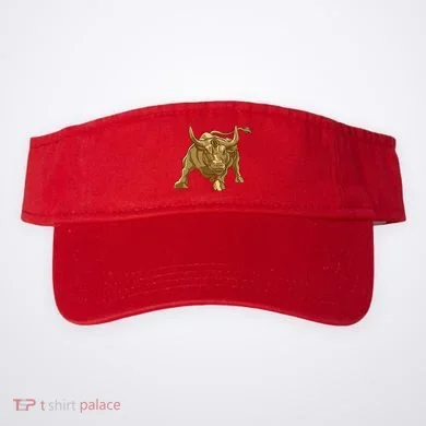 Visor