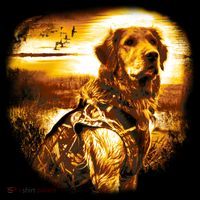 Golden Hunter Retriever Dog Women's T-Shirt thumb 6