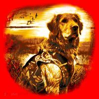 Golden Hunter Retriever Dog Santa Hat thumb 1