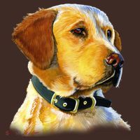 Golden Retriever Dog Portrait Coaster thumb 2