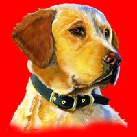 Golden Retriever Dog Portrait Santa Hat thumb 1