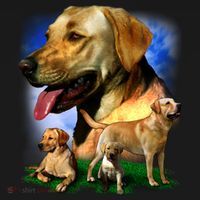 Golden Retriever Family Backpack thumb 2