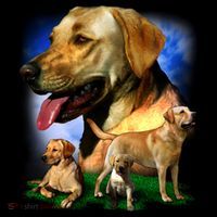 Golden Retriever Family Coffee Mug thumb 5