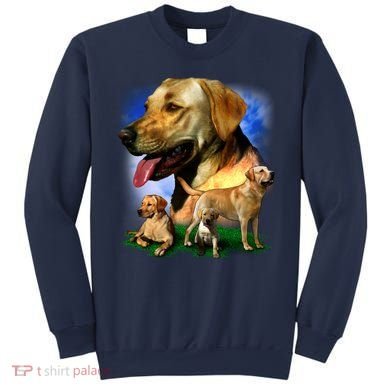 Golden Retriever Family Sweatshirt