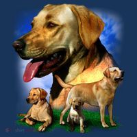 Golden Retriever Family Women's Tank Top thumb 5