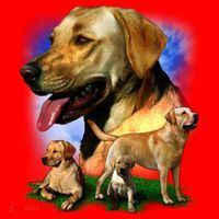 Golden Retriever Family Santa Hat thumb 1
