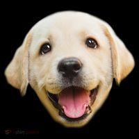 Golden Retriever Pup Face Bucket Hat thumb 4
