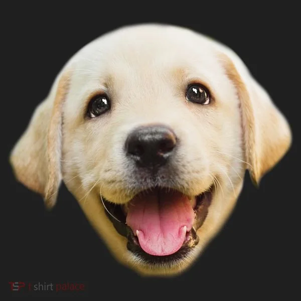 Golden Retriever Pup Face Beanie