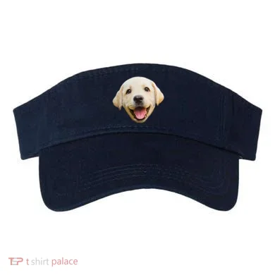 Visor