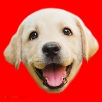 Golden Retriever Pup Face Santa Hat thumb 1
