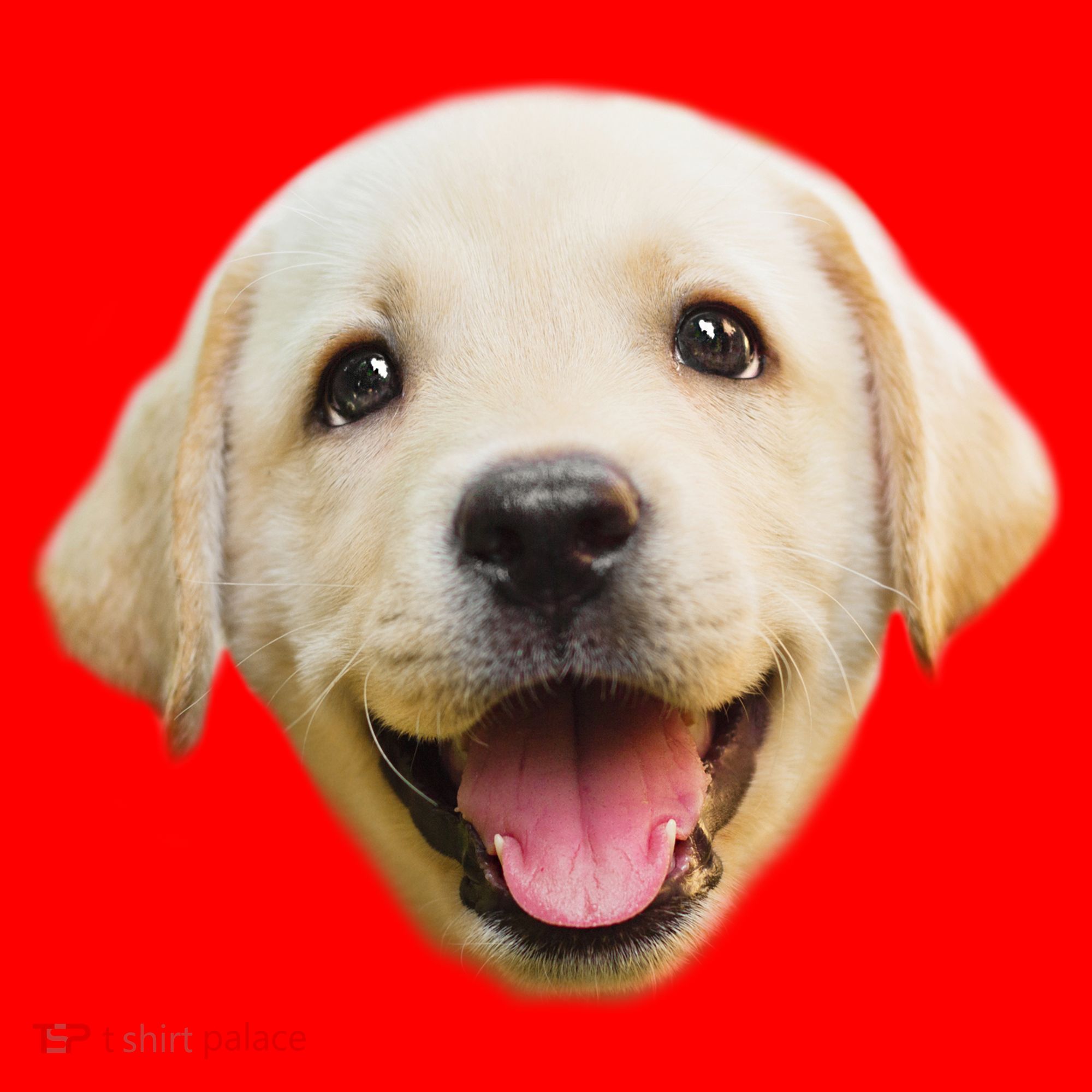 Golden Retriever Pup Face Santa Hat