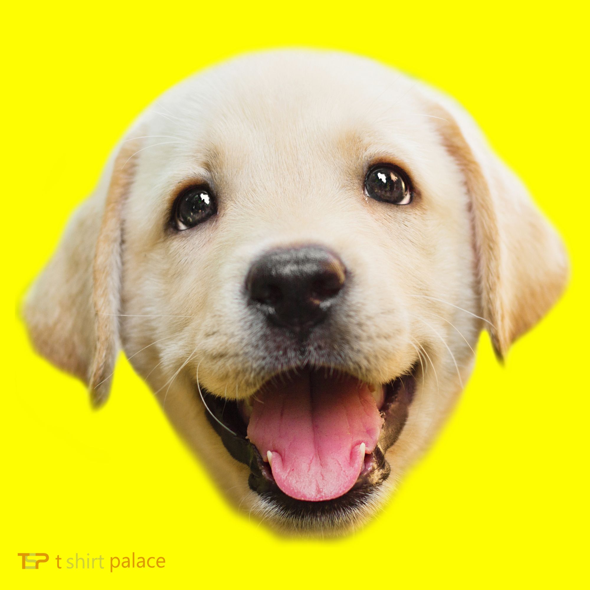 Golden Retriever Pup Face Polo