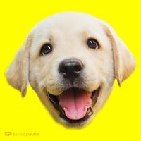 Golden Retriever Pup Face Women's T-Shirt thumb 6