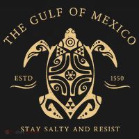 Gulf Of Mexico Super Soft Gulf Coast Women's Tank Top thumb 5