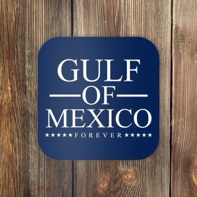 Gulf Of Mexico Forever Coaster
