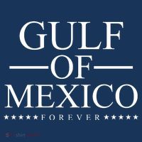 Gulf Of Mexico Forever Women's Tank Top thumb 5