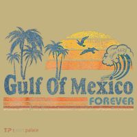 Gulf Of Mexico Forever Since 1672 Retro Vintage Beach Gulf T-Shirt thumb 7