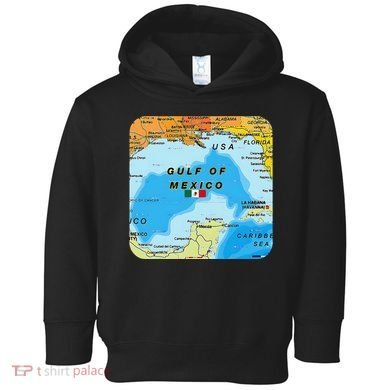 Gulf Of Mexico Map Flag Always Retro Vintage Toddler Hoodie