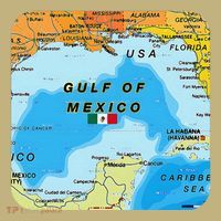 Gulf Of Mexico Map Flag Always Retro Vintage T-Shirt thumb 7