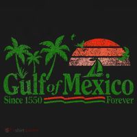 Gulf Of Mexico Since 1550 Women's Tank Top thumb 5