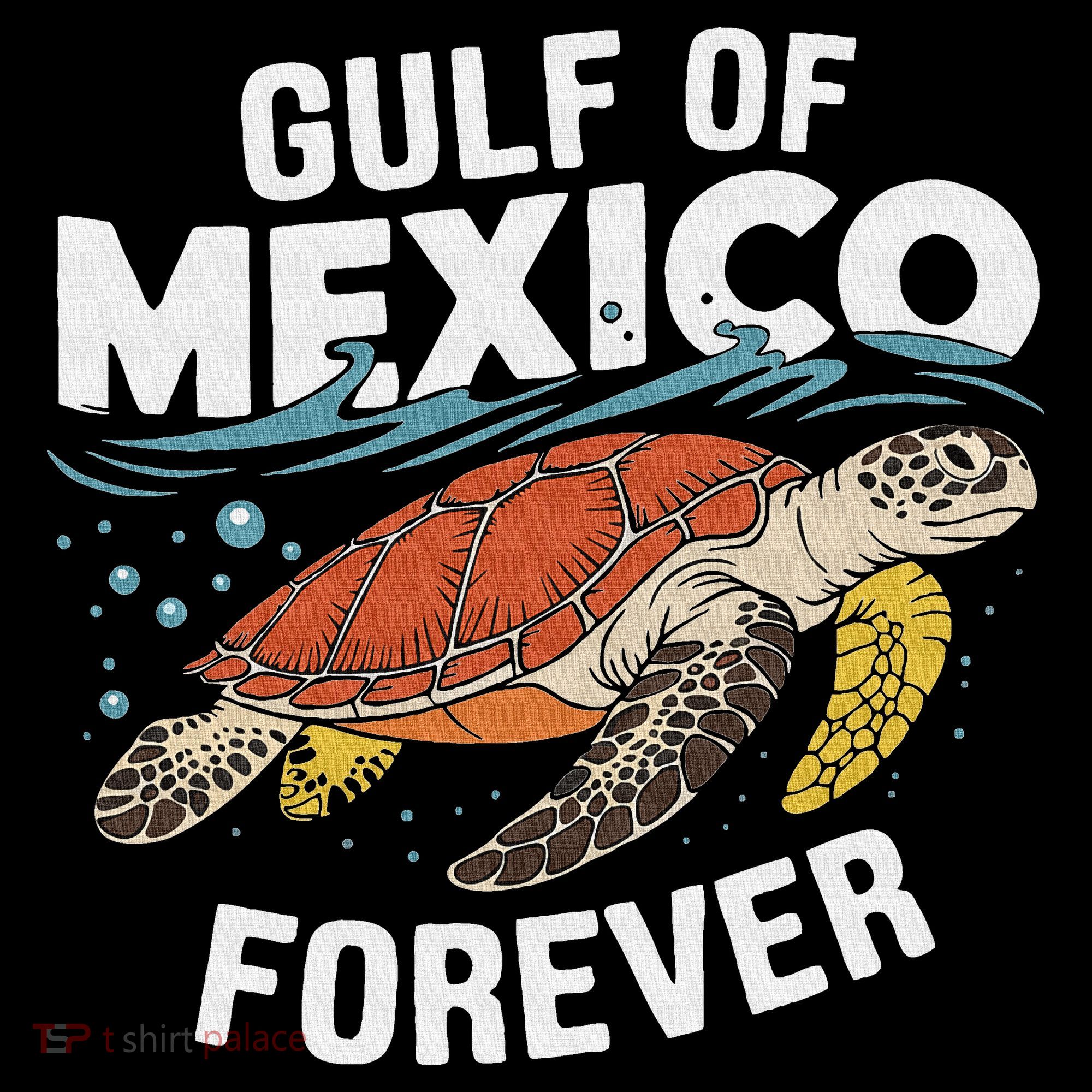 Gulf Of Mexico Forever Sea Turtle Women's Hoodie