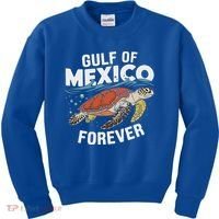 Gulf Of Mexico Forever Sea Turtle Kids Sweatshirt thumb 0