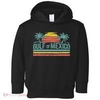 Gulf Of Mexico Retro Toddler Hoodie thumb 0