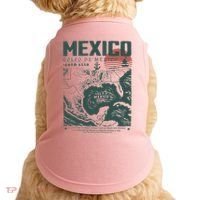 Gulf Of Mexico 1550 Historic Map Doggie Tank thumb 0
