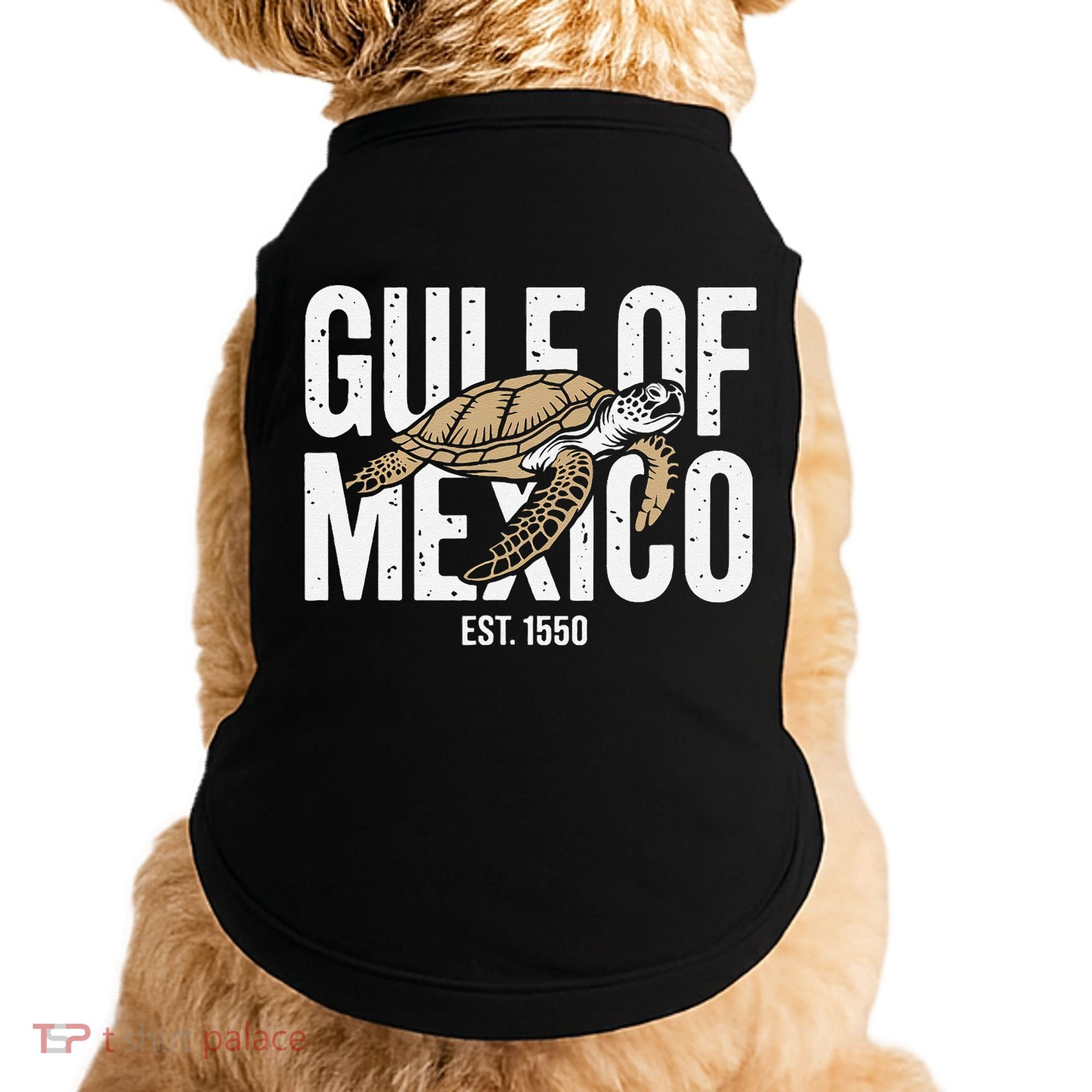 Gulf of Mexico with Turtle Doggie Tank