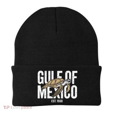 Gulf of Mexico with Turtle Beanie