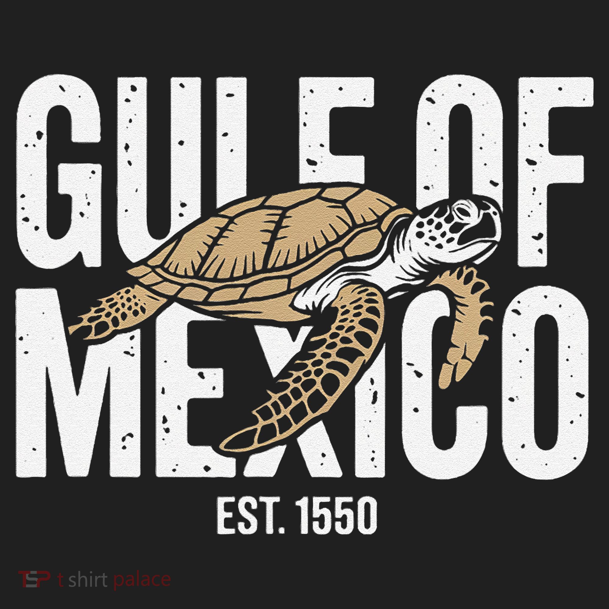 Gulf of Mexico with Turtle Beanie