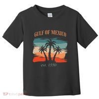 Gulf Of Mexico Established 1550 Funny America Map Meme Toddler T-Shirt thumb 0