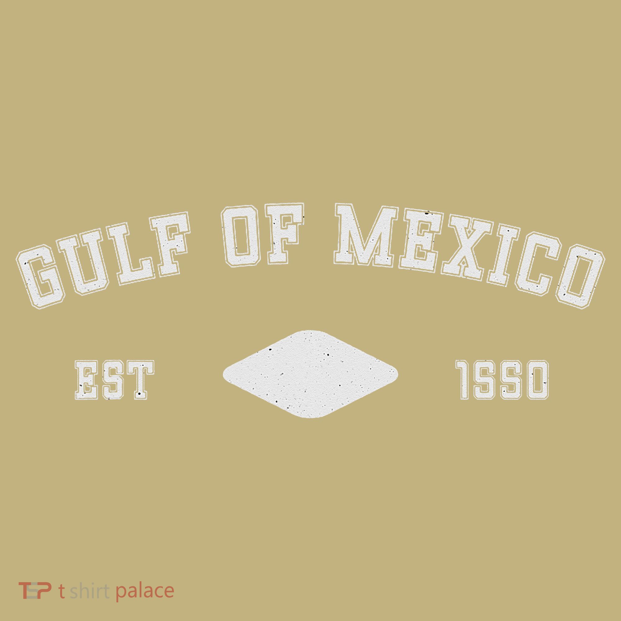 Gulf Of Mexico Est 1550 Forever Not US America T-Shirt