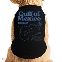 Gulf Of Mexico Est 1550 Golfo De MéXico Historic Map Doggie Tank thumb 0