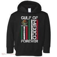 Gulf Of Mexico Toddler Hoodie thumb 0
