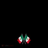 Gulf Of Mexico Since 1672 Mexican Flag Coffee Mug thumb 5