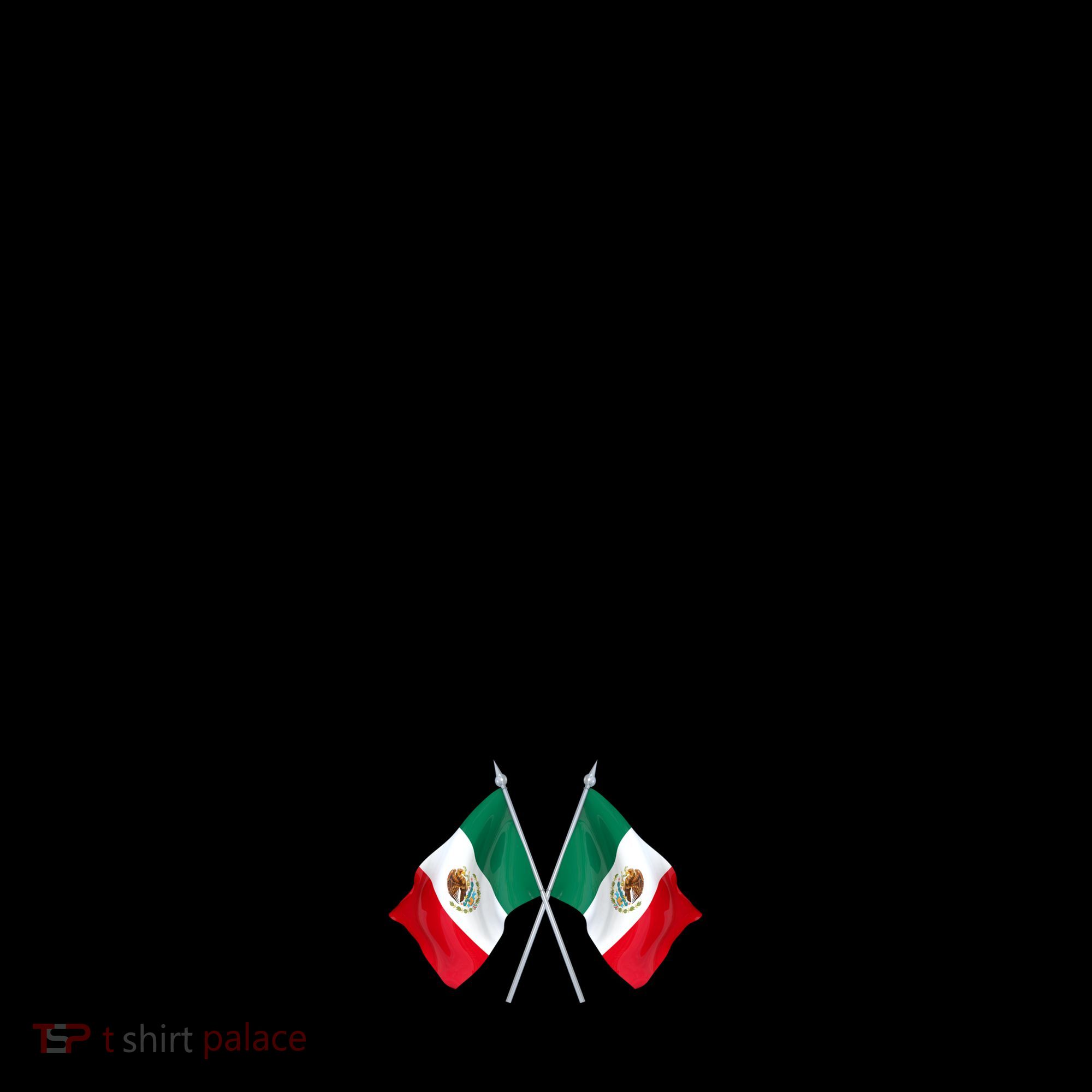Gulf Of Mexico Since 1672 Mexican Flag Coffee Mug