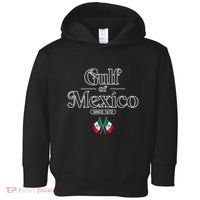 Gulf Of Mexico Since 1672 Mexican Flag Toddler Hoodie thumb 0