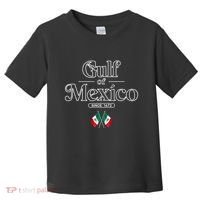Gulf Of Mexico Since 1672 Mexican Flag Toddler T-Shirt thumb 0