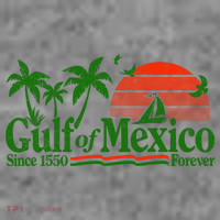 Gulf Of Mexico Mexican Flag Toddler Hoodie thumb 2
