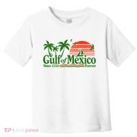 Gulf Of Mexico Mexican Flag Toddler T-Shirt thumb 0