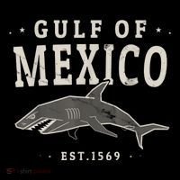 Gulf Of Mexico 1569 Coffee Mug thumb 5