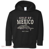 Gulf Of Mexico 1569 Toddler Hoodie thumb 0