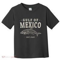 Gulf Of Mexico 1569 Toddler T-Shirt thumb 0