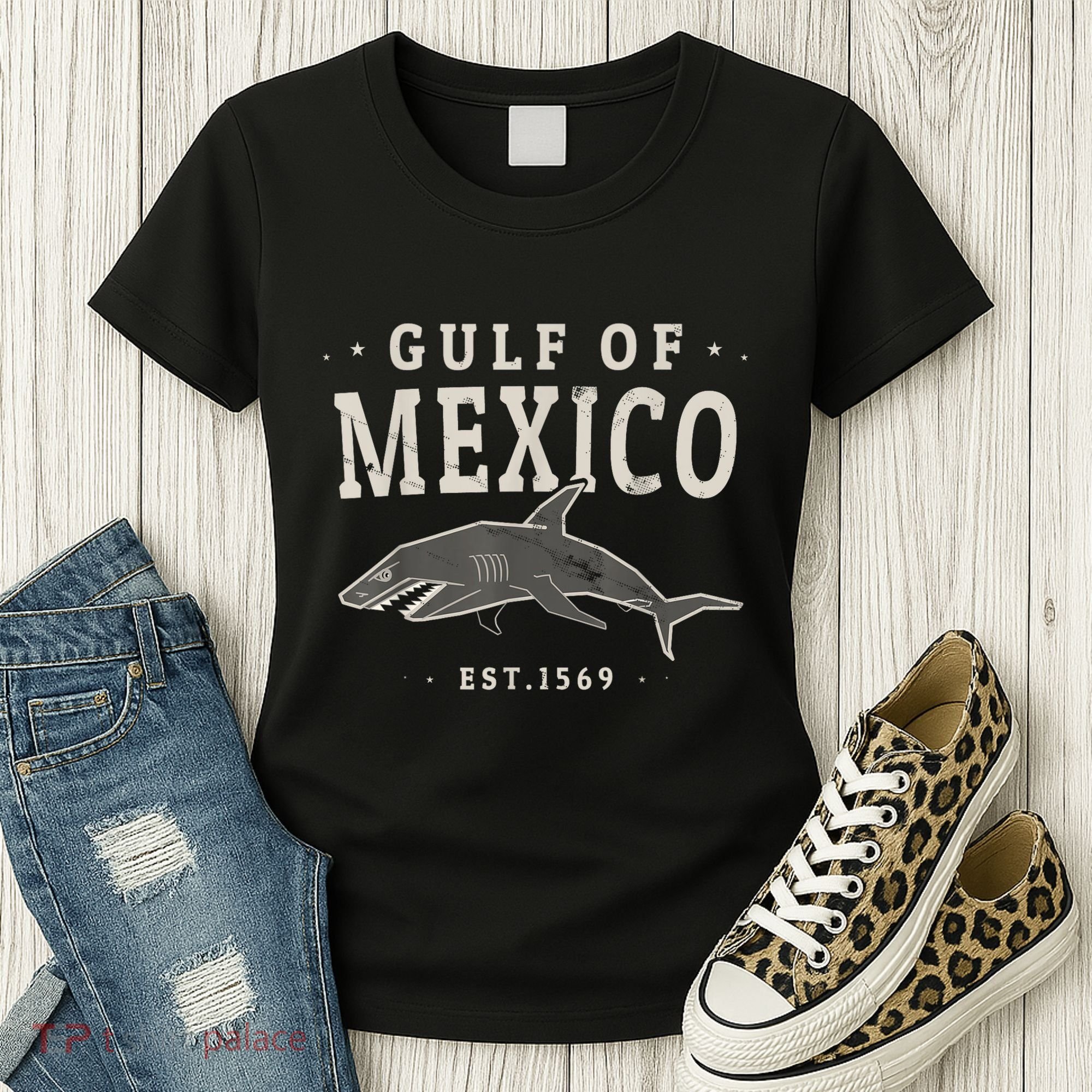 Gulf Of Mexico 1569 Women's T-Shirt